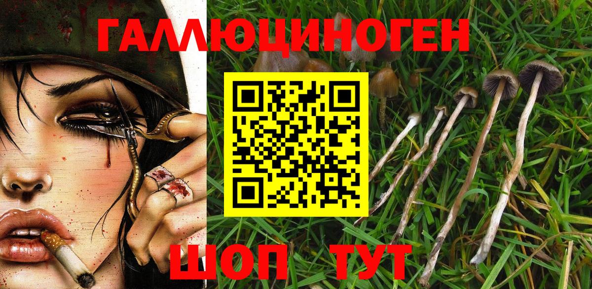 Псилоцибиновые грибы ЛСД  Вход с VPN  закладки  Видное 